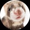 furret0w0